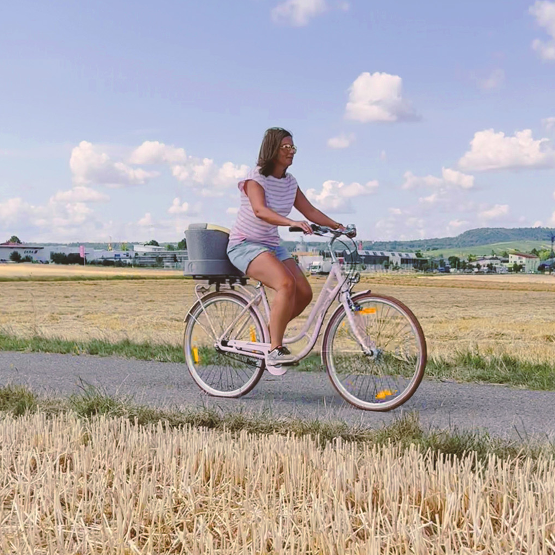 LIEBLINGSKORB FAHRRADHALTERUNG silver grey