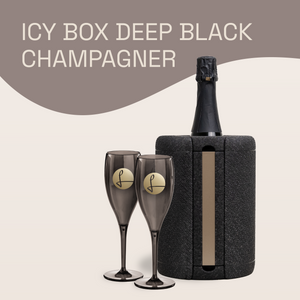ICY Box Bundle champagner